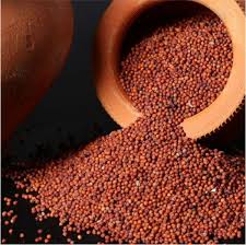 Red Millet