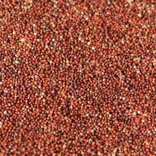 Red Millet