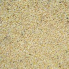 White Millet