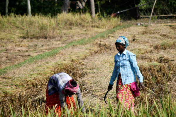 When Everyone Is Involved, No One Owns the Outcome