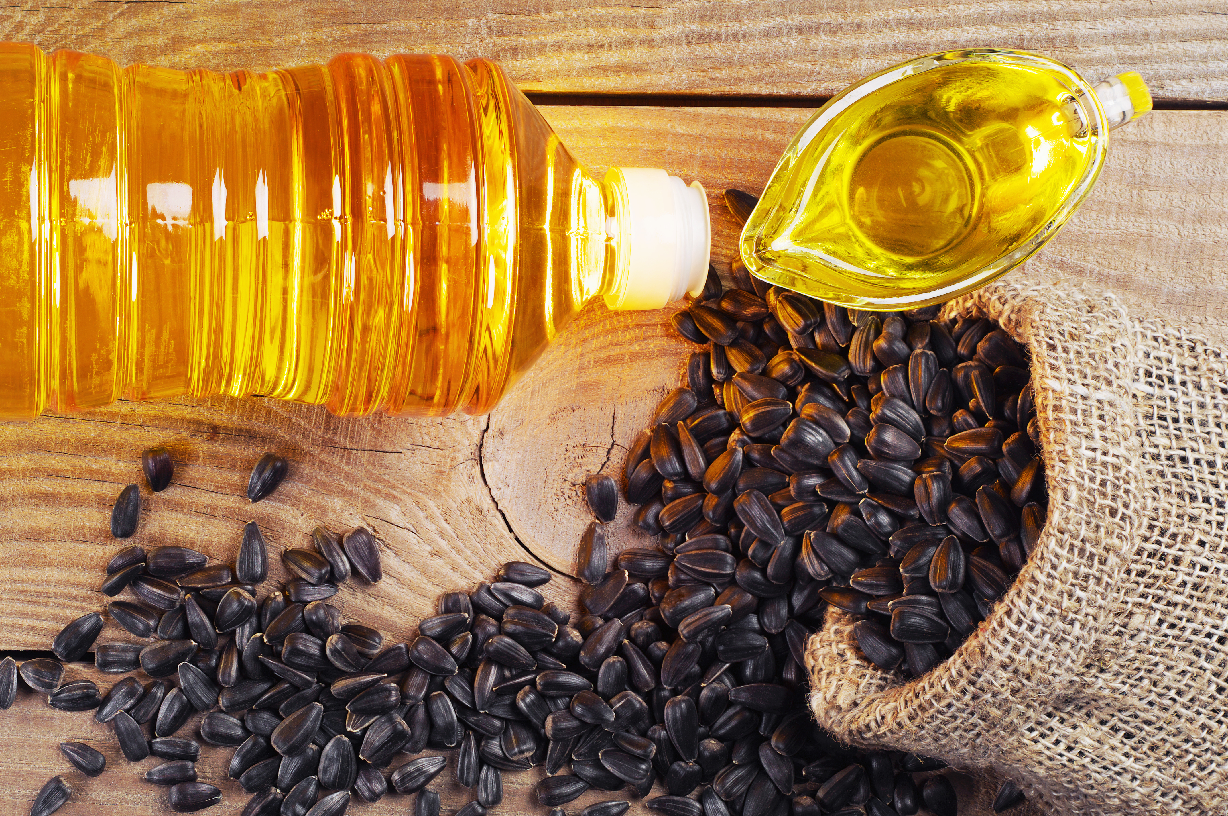 Oilseed Markets in Africa Face Growing Pressure as Processing Demand Expands