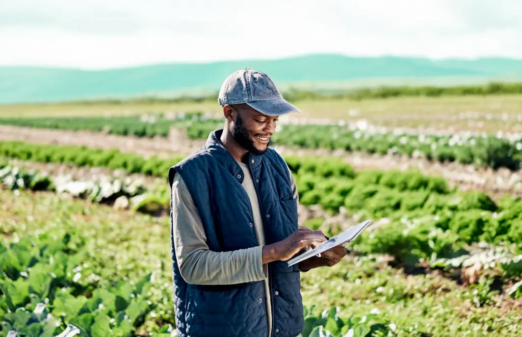 Growth Isn’t the Problem, Scaling Without Control Is